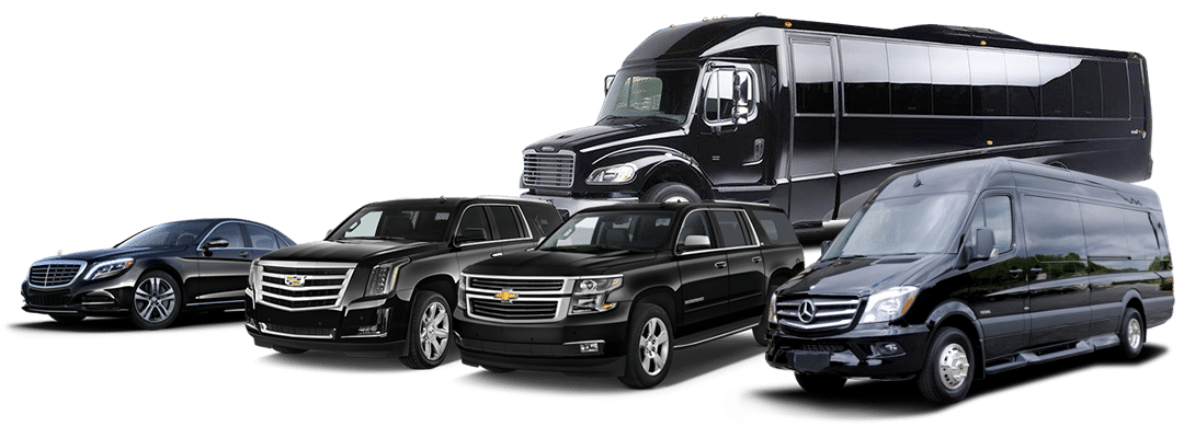 MK Luxury Coach ground transportation fleet lineup &mdash; executive sedan, SUVs, Sprinter van, and luxury motor coach